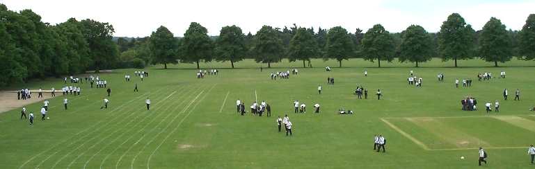 The School Field